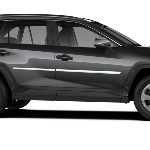 Stootlijstenset in kleur Toyota RAV4 2019 >