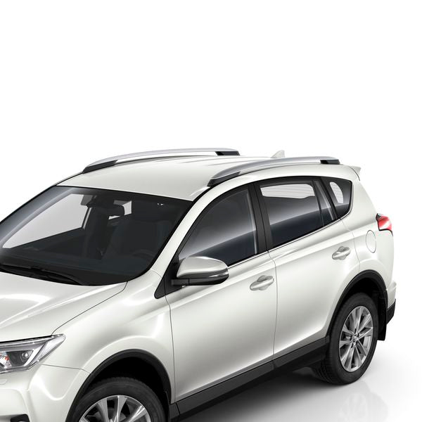 Dakrailing Toyota RAV4 2013 - 2019