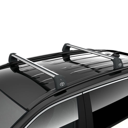 Dakdragers Toyota RAV4 2019 >