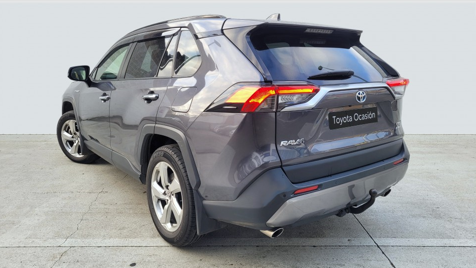 Schmutzfänger Toyota RAV4 2019 >